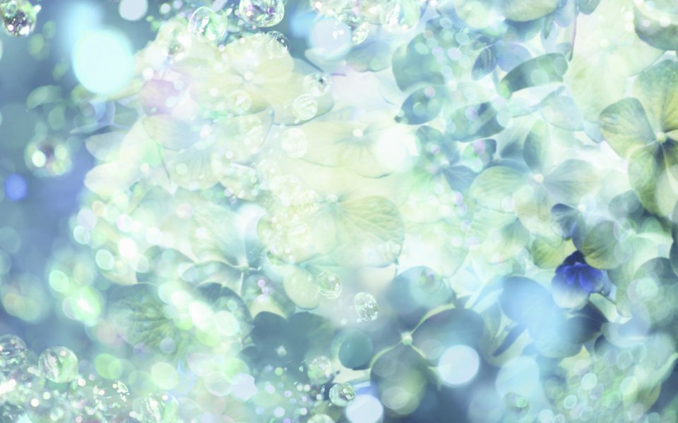 [wallcoo_com]_CG_Widescreen_Flowers_1920_HS099_350Aaa