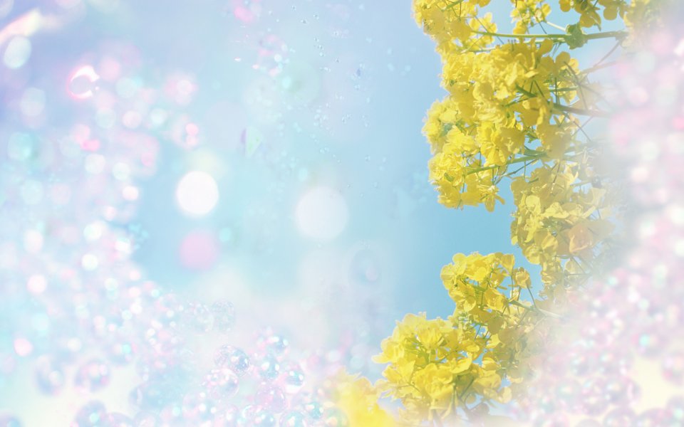 [wallcoo_com]_CG_Widescreen_Flowers_1920_HS102_350aAa