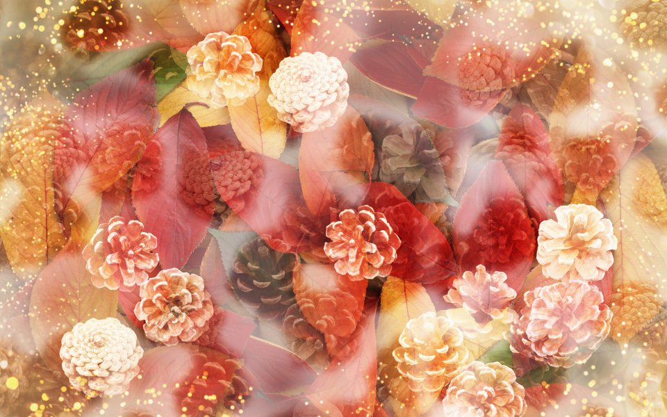 [wallcoo_com]_CG_Widescreen_Flowers_1920_HS136_350A