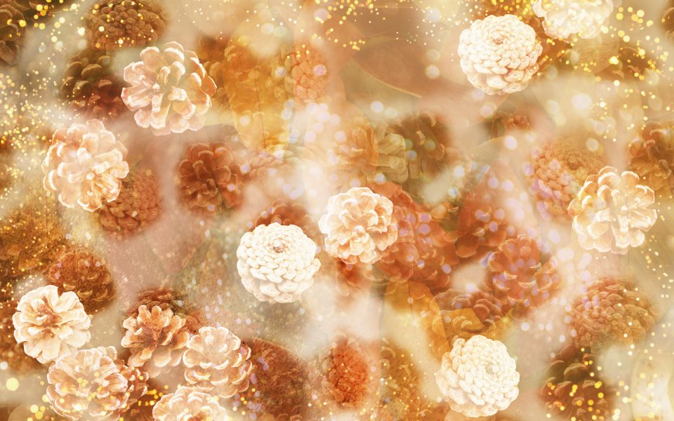 [wallcoo_com]_CG_Widescreen_Flowers_1920_HS137_350A