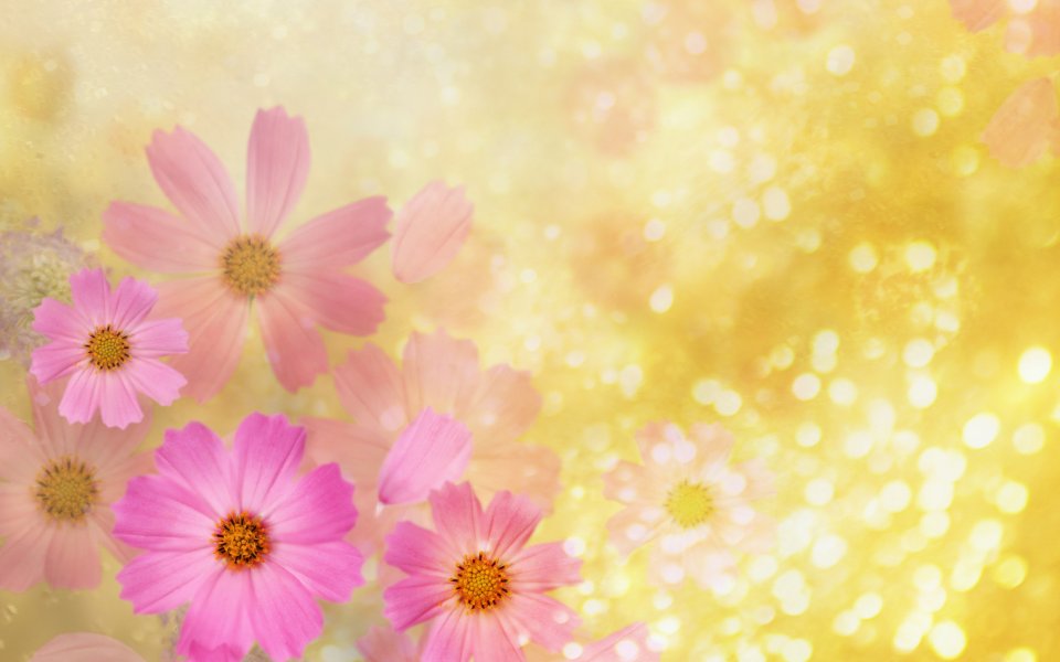 [wallcoo_com]_CG_Widescreen_Flowers_1920_HS138_350Aaa