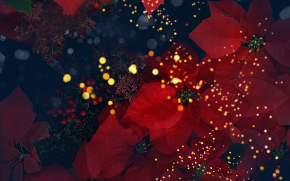 [wallcoo_com]_CG_Widescreen_Flowers_1920_HS181_350Aaaag