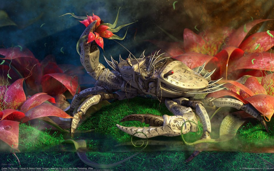 wallpaper_balazs_papay_03