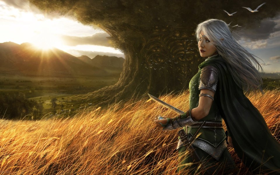 wallpaper_marek_okon_10