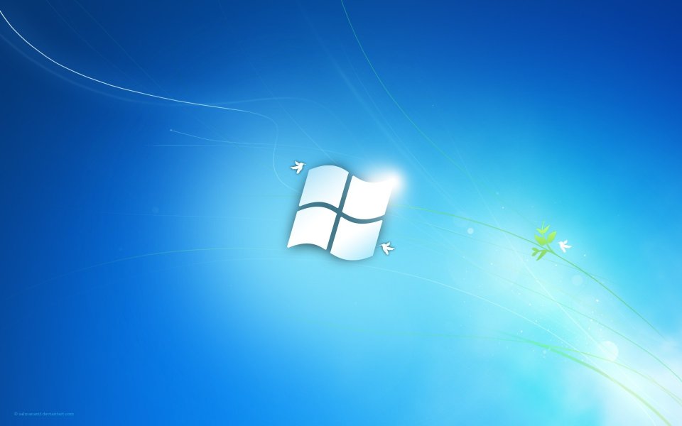 windows