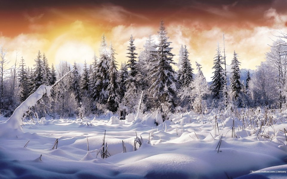 Winter_Wonderland_V2_wallcoo.com