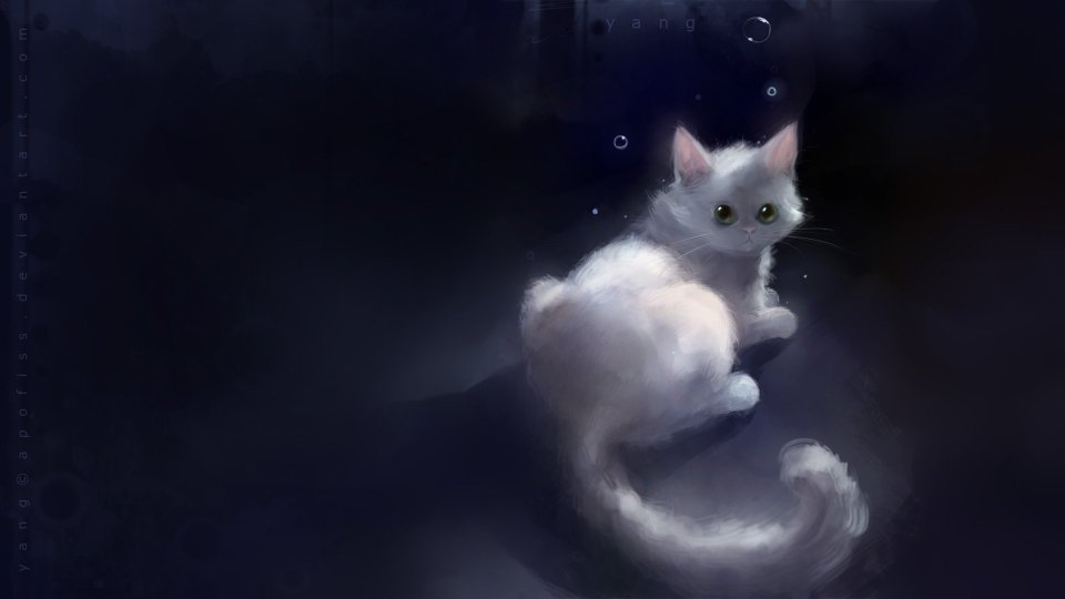 Apofiss Dreamy White Cat Under Stars Wallpaper