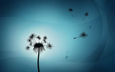 005_vladstudio_dandelion