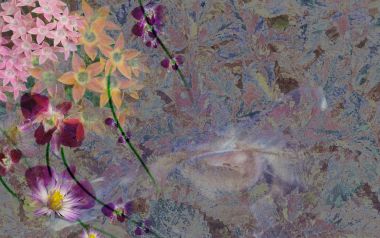 01_2952_Digital-illustration-flowers_wallcoo.com