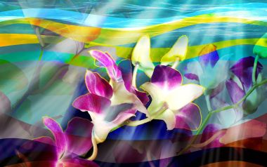 01_2966_Digital-illustration-flowers_wallcoo.com