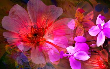 01_2981_Digital-illustration-flowers_wallcoo.com