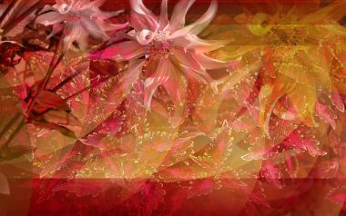 01_2982_Digital-illustration-flowers_wallcoo.com