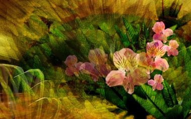 01_2988_Digital-illustration-flowers_wallcoo.com