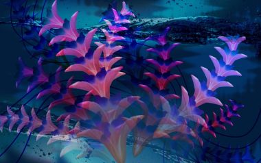 02_2998_Digital-illustration-flowers_wallcoo.com
