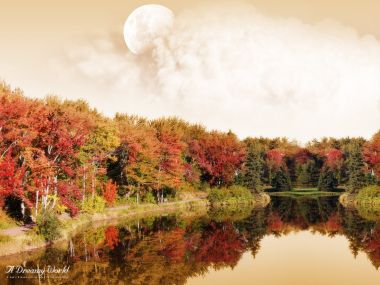 A_dreamy_world_50th