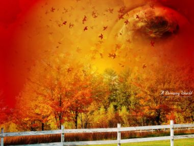A_dreamy_world_73rd