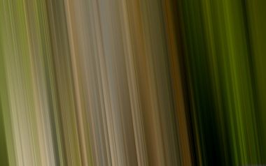 abstract_color_and_lights_LC_Roots