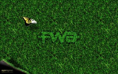 agencynetFWA01