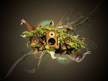 Audio_Jungle_WP_by_Trevor80