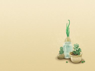 cactus_wallpaper