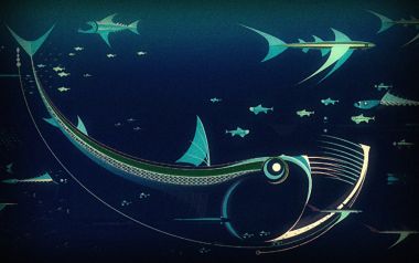 Cg_design_marine_by_nucu