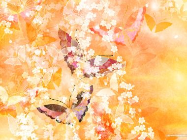 colors_and_flower_pattern_in_japanese_style_WA01_002Lc