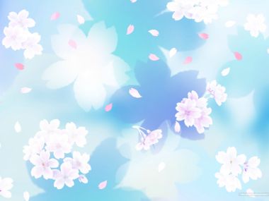 colors_and_flower_pattern_in_japanese_style_WA01_003Lf