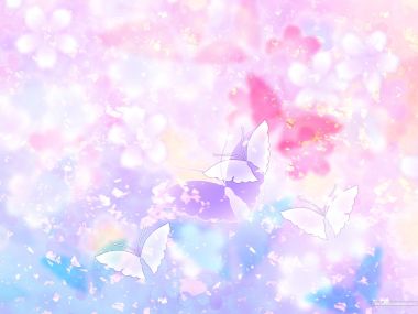 colors_and_flower_pattern_in_japanese_style_WA01_004Le