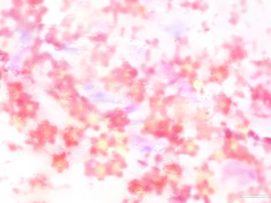 colors_and_flower_pattern_in_japanese_style_WA01_008Le