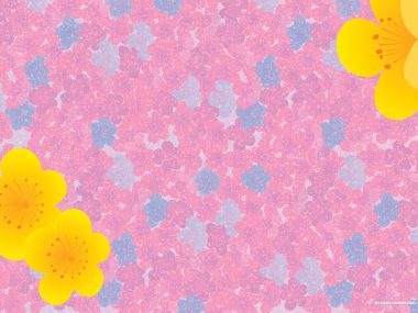colors_and_flower_pattern_in_japanese_style_WA01_015La