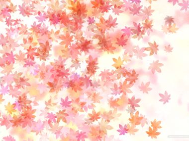 colors_and_flower_pattern_in_japanese_style_WA01_019L