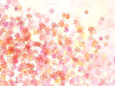 colors_and_flower_pattern_in_japanese_style_WA01_019Lf