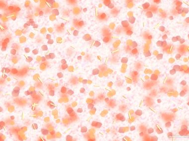 colors_and_flower_pattern_in_japanese_style_WA01_059L