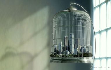 Conception_design_platinum_22