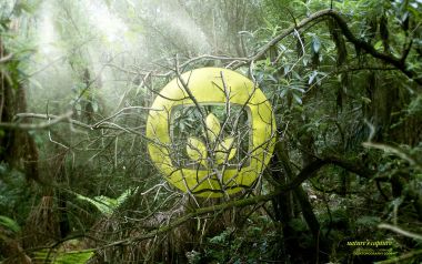 Creative_CG_Design_wallpaper_Natures_Capture