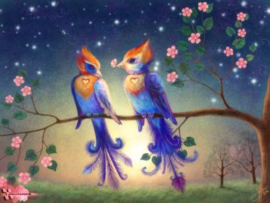 creative_character_luana_wallpapers_ru_liolio_birds
