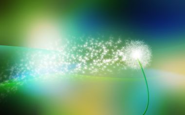 Dandelion_light_013