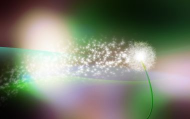 Dandelion_light_015