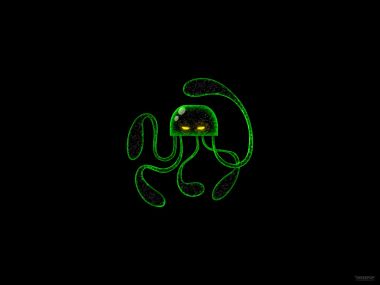 dark_medusa