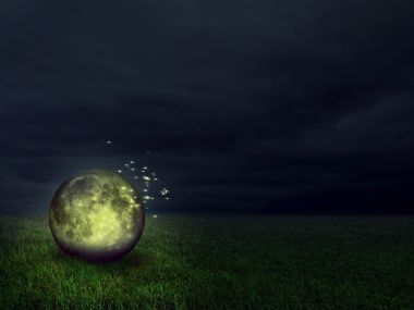design_art_fireflies