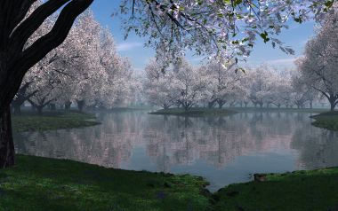 Digital_3d_wallpaper_sakura