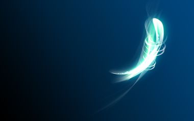 Firebug_4