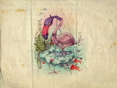 flamingo_wallpaper