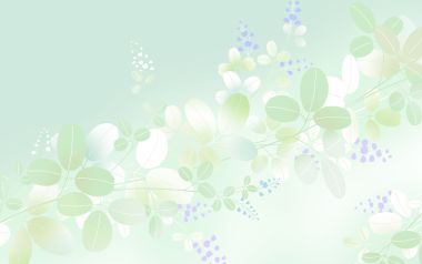 Flower_pattern_background_wa03_005lb