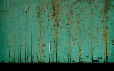 fwa_rustic_forest