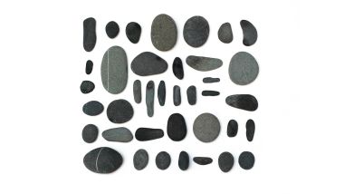 Lisa Congdon Rocks