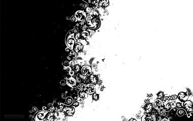 love-everyday_graphic_design_fwa