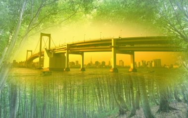 Photo manipulation of 03_deforestation 196_nature_and_city
