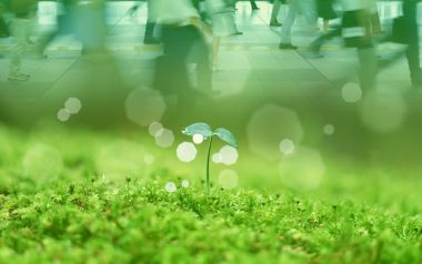 Photo manipulation of 03_Human and Green 064_Greeny_Nature