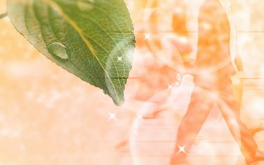 Photo manipulation of 03_Human and Green 066_Greeny_Nature